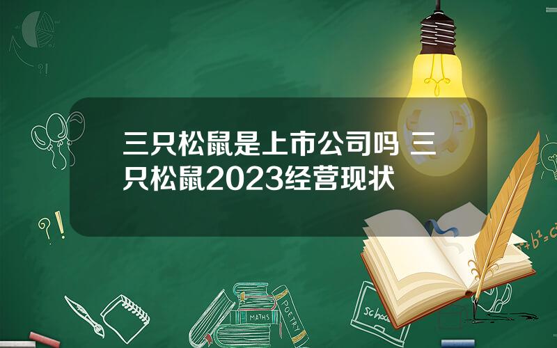 三只松鼠是上市公司吗 三只松鼠2023经营现状